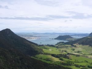 Blick vom Te Whara auf die Urquartsbay