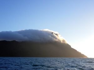 Bream Head mitWolkenhäubchen