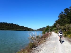 Radweg entlang des Kawakawa Rivers