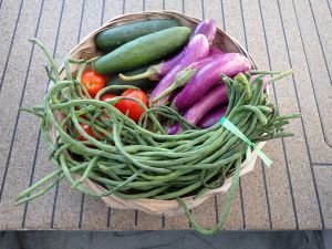 der ganze Korb für weniger als 3 Euro