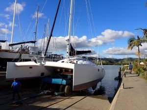 Belena kommt ins Wasser