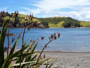 Blick auf Urupukapuka