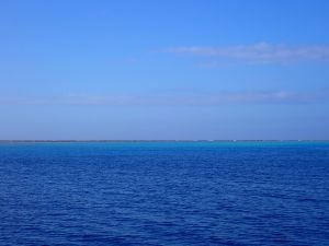 blau blau blau im Minerva Riff