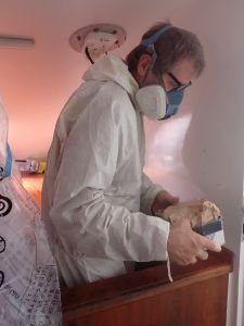 Benno bei der Arbeit