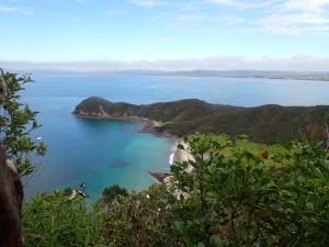 Blick von Mount Lion