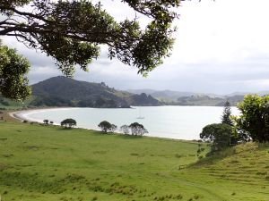 Mimiwhangata
