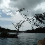 Belena im Rio Chagres