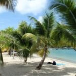 Palmenstrand Grand Anse d´Arlet