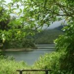 Freshwater Lake Dominica