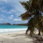 Culebrita - Spanish Virgins