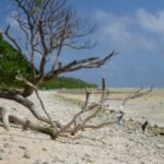 an der Luvseite vom Aur Atoll