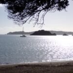 ankern vor Paihia