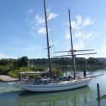 Atair kommt ins Wasser