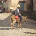 auf Trinidads Straßen