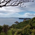 Ausblick von Motukawanui