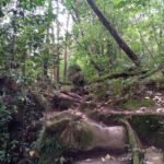 Ausflug zu den Abbey Caves