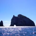 bald in der Bay of Islands