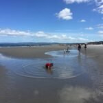 bei Ebbe entstehen Pools für die Kleinen