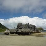 bei Ebbe gut zu sehen