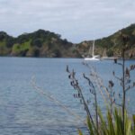 Belena ankert vor der alten Walfangstation