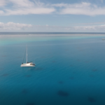 Belena im South Minerva Reef