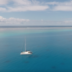 Belena im Süd Minerva Riff