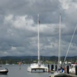 Belena im Yachtclub Kerikeri