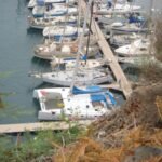 Belena in der Marina