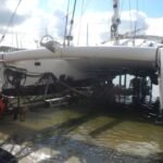 Belena kommt aus dem Wasser