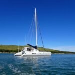 Belena vor Limestone Island