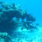 Benno im Namena Reef