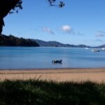 Benno kommt mit dem Dinghi