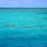 Benno schnorchelt im klaren Wasser