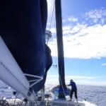 Benno setzt den Spinnaker