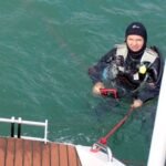 Benno taucht nach Jakobsmuscheln