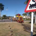 Benno vorm Sugartrain