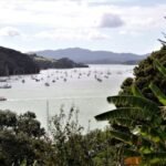 Blick auf die Ankerlieger vor Opua