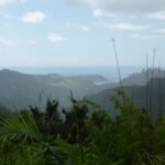 Blick auf Helena Bay