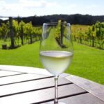 Blick vom Omata Estate Vineyard