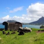 Bream Head Gun Battery