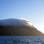 Bream Head mit Wolkenhäubchen