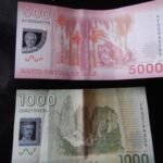 chilenisches Geld
