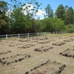 Cimetières des déportés