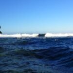 da gehts zum Außenriff