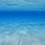 der Anker ist kaum noch zu sehen