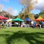 der Farmers Market in Paihia