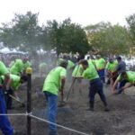 der Hangi wird ausgegraben