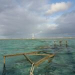 der Leuchtturm Minerva Süd