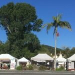 der Markt in Paihia