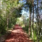 der Radweg von Whangarei nach Onerahi